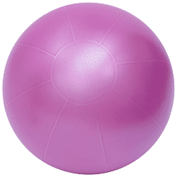 Swiss Exercise Ball